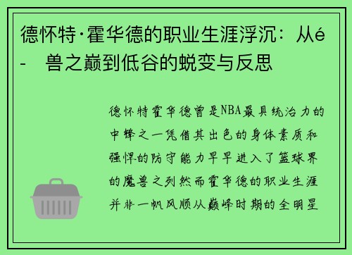 德怀特·霍华德的职业生涯浮沉：从魔兽之巅到低谷的蜕变与反思